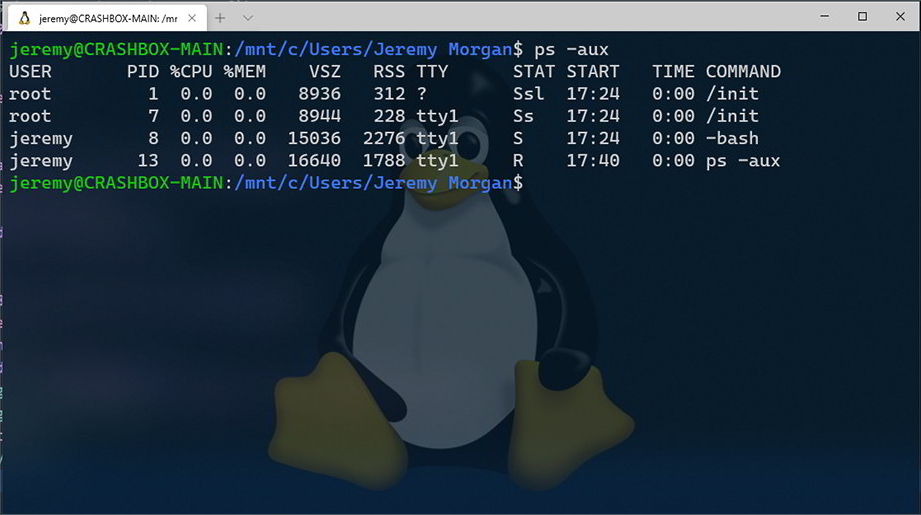 Windows Subsystem for Linux running Bash