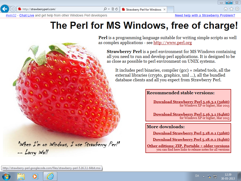 Installing Strawberry Perl on Windows